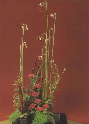 Allium mit Elo-Nelken Arrangement