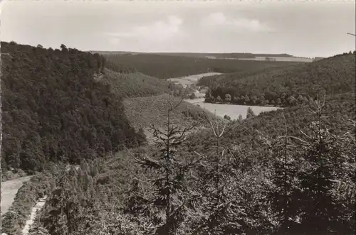 Neuhaus-Fohlenplacken - von der Schönen Aussicht