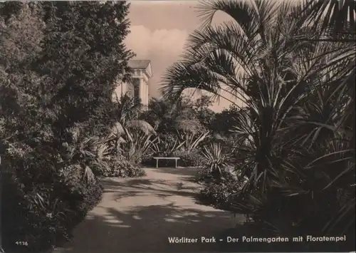 Wörlitz - Palmengarten