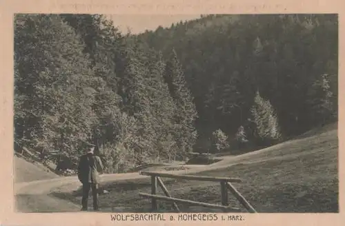 Schierke - Hohegeiss - Wolfsbachtal Harz - ca. 1955