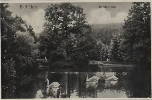 Bad Elster - Im Albertpark - ca. 1955
