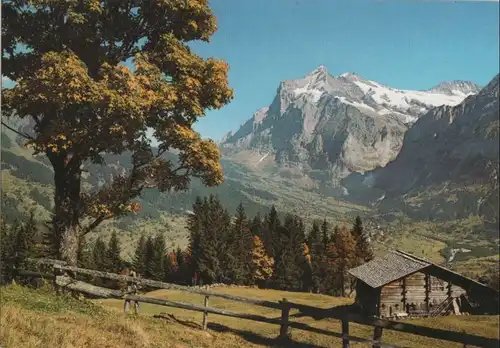 Schweiz - Schweiz - Grindelwald - Wetterhorn - ca. 1980