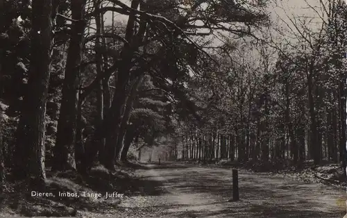 Niederlande - Niederlande - Rheden-Dieren - Imbos, Lange Juffer - 1959