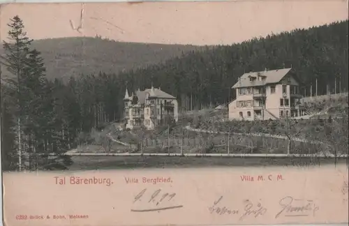 Altenberg-Bärenburg - Villa Bergfried - ca. 1930