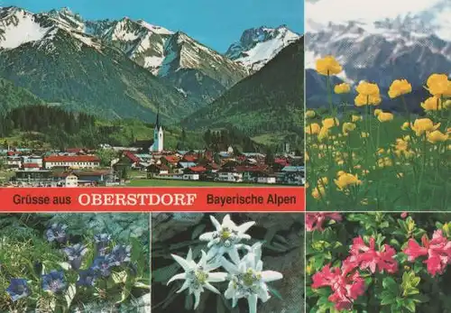 Oberstdorf mit diversen Blumen - 1992