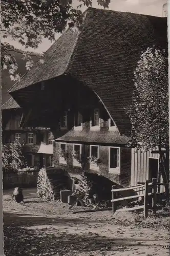 St. Blasien-Menzenschwand - Bauernhaus - 1955