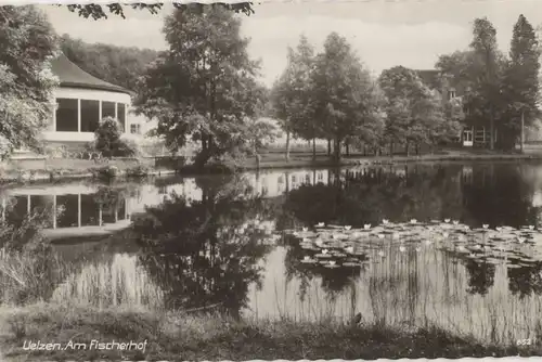 Uelzen, Lüneburger Heide - Am Fischerhof