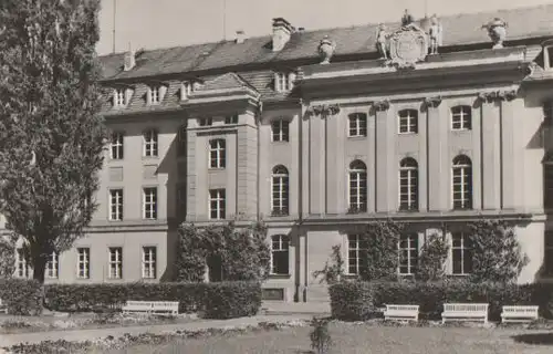 Greifswald - Universität - ca. 1965