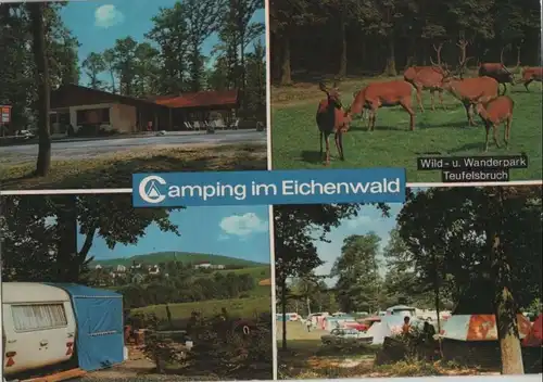 Mittelhof - Camping im Eichenwald