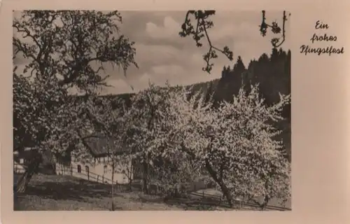 Frohes Pfingstfest - Blühende Bäume - 1955