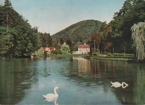 Bad Bergzabern - Schwanenweiher - 1965