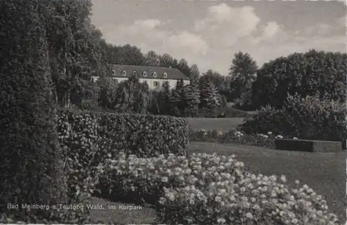 Bad Meinberg - Im Kurpark - 1959