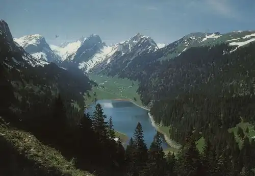 Schweiz - Sämtisersee - Schweiz - von oben