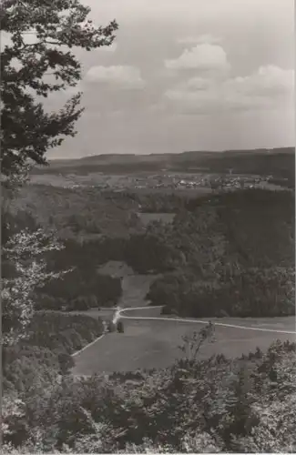 Schmiedefeld - Umgebung Stutenhaus - 1967