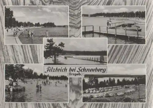 Filzteich bei Schneeberg Erzgebirge - 1969