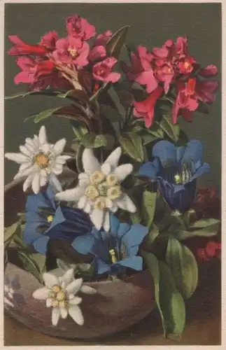 Bluimen Rhododendron