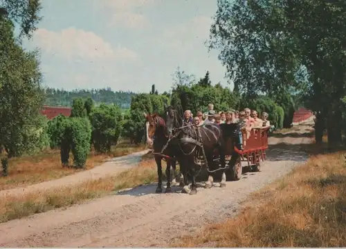 Lüneburger Heide - Ausfahrt in der Heidekutsche - ca. 1980