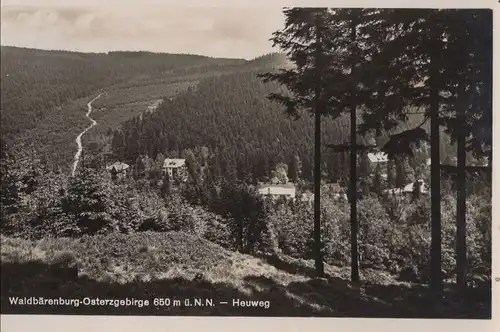 Altenberg-Waldbärenburg - Heuweg