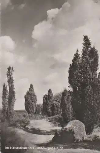 Lüneburger Heide - 1957
