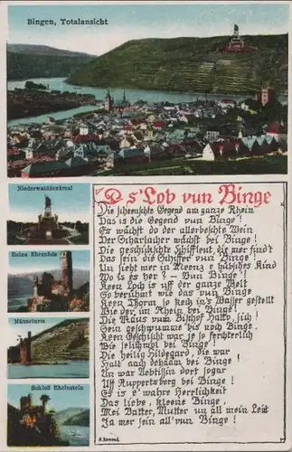 Bingen - u.a. Totalansicht - ca. 1920