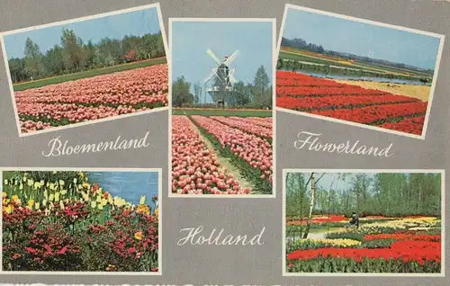 Niederlande - Holland - Niederlande - Bloemenland