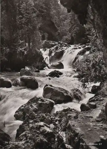 Zauberwald - ca. 1960