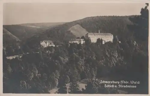 Schwarzburg - Schloß u. Hirschwiese - ca. 1955