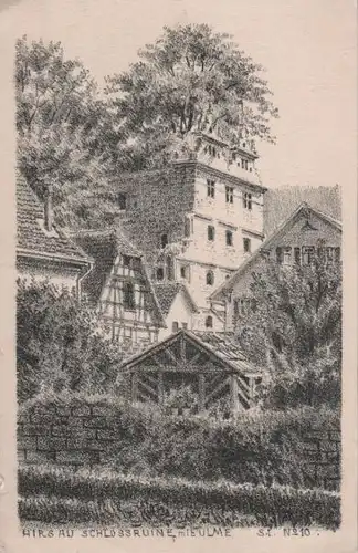 Calw-Hirsau - Schlossruine mit Ulme - ca. 1955