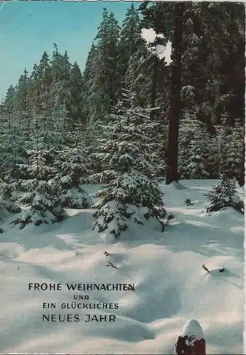 Frohe Weihnachten Winterwald
