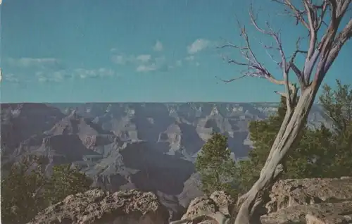 USA - USA - Grand Canyon - 1982