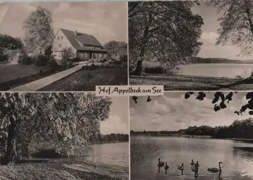 Hollenstedt - Hof Appelbeck - 1964