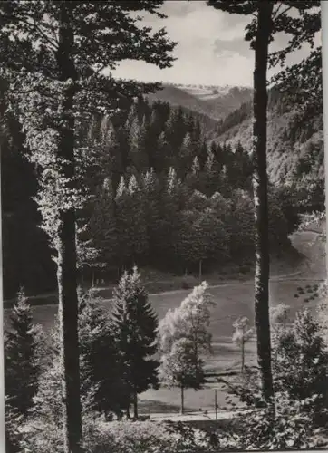 Frauenwald - Blick vom Pfaffkopf - 1977