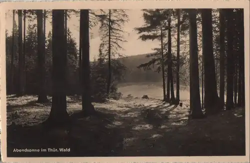 Thüringer Wald - Abendsonne - 1958