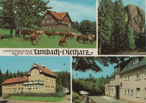 Tambach-Dietharz - u.a. Falkenstein - 1969
