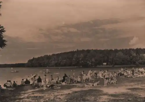 Stechlin-Neuglobsow - Badestrand am Stechlinsee - 1967