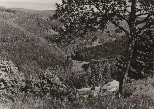 Frauenwald - Blick ins Tränkbachtal - 1976