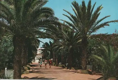 Spanien - Spanien - Valencia - Las Arenas, Palmeral - 1983