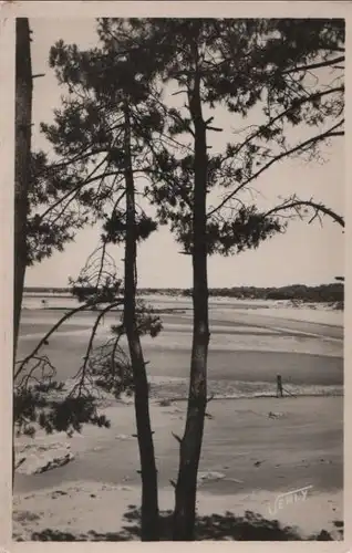 Frankreich - Frankreich - Saint-Brevin-les-Pins - A travers la Foret - ca. 1960