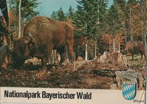 Bayerischer Wald - Nationalpark - Wiesent - ca. 1970