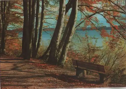 Weg im Wald am Wasser - ca. 1975