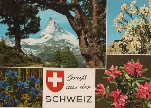 Schweiz - Schweiz - Schweiz - ca. 1980