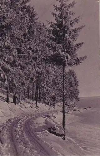 Waldrand im Winter - ca. 1935