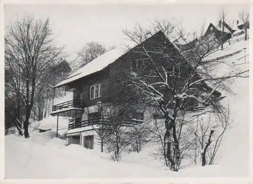Goslar - St. Andreasberg - Haus Nikolaus - ca. 1955