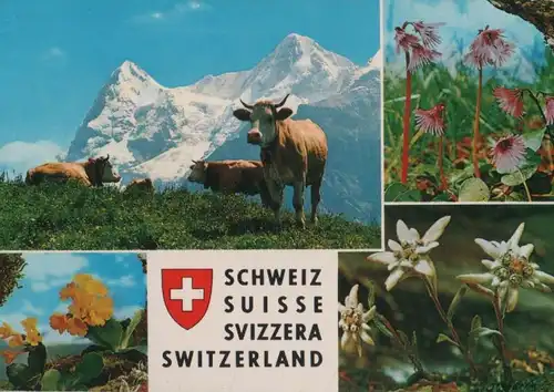 Schweiz - Schweiz - Schweiz - ca. 1980