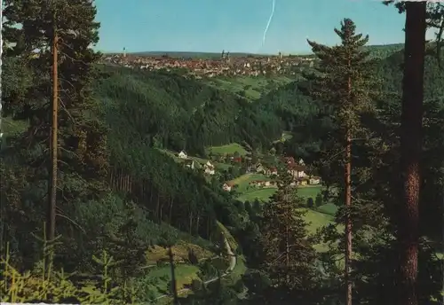 Freudenstadt - Blick vom Friedrichstal