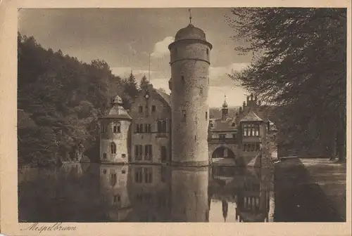 Mespelbrunn - Schloss