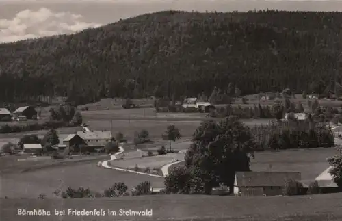 Friedenfels - Bärnhöhe im Steinwald - ca. 1960