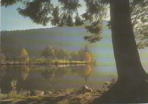 Frankreich - Frankreich - Vosges - Le Lac de Longemer - ca. 1975