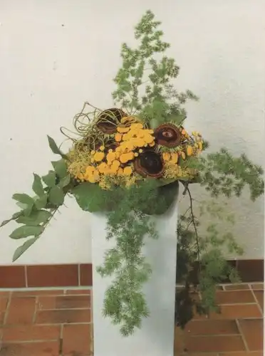 Chrysanthemum Florist-Meisterprüfung