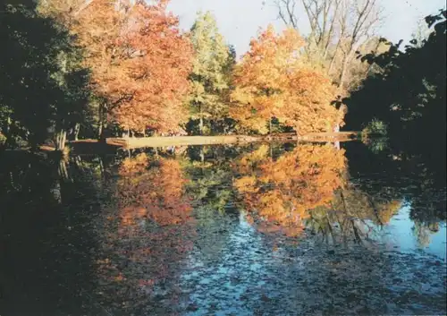 Nürnberg - Herbst am Valznerweiher - ca. 1995
